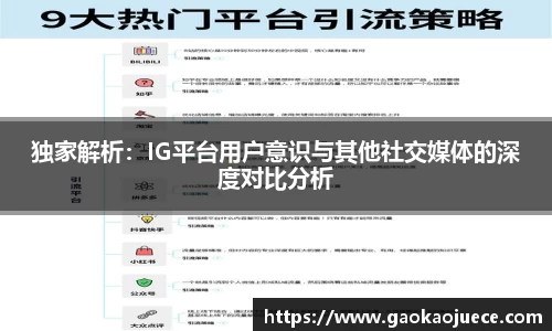 独家解析：IG平台用户意识与其他社交媒体的深度对比分析